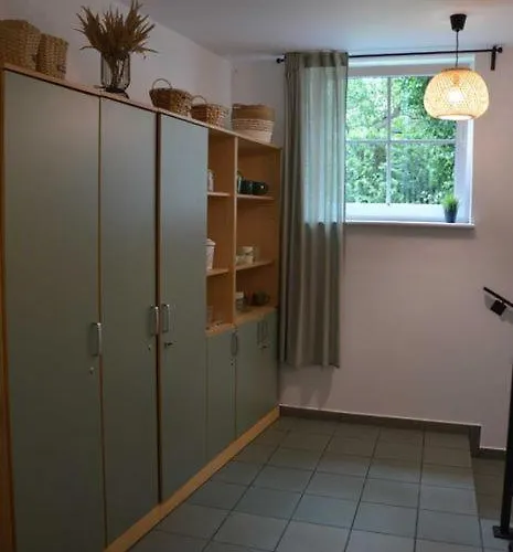 公寓 Vitalis 索波特